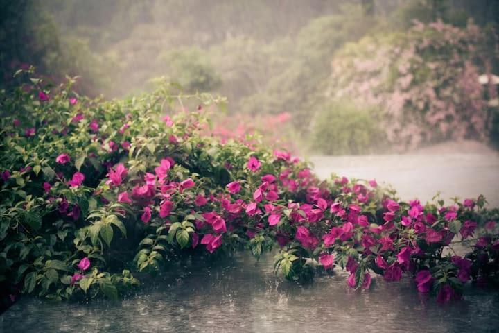 Comunna Metamorfose Itapeva  Ngoại thất bức ảnh